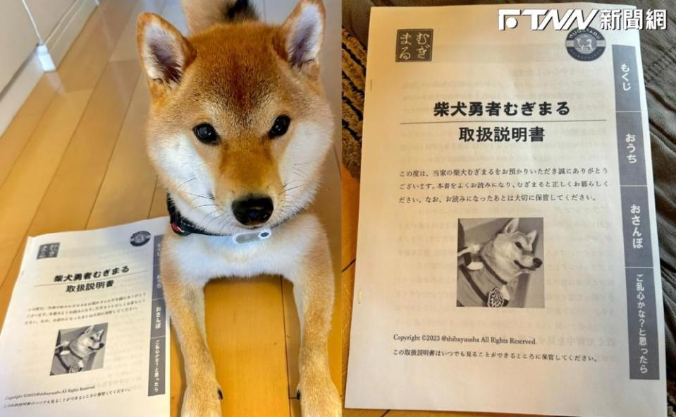 「柴犬勇者小麥丸使用說明」詳細記載了有關小麥丸的生活習慣、飲食注意事項、散步技巧等。（圖／翻攝推特@shibayuusha）