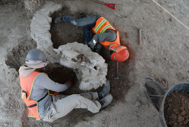 Archaeologists from the National Institute of Anthropology and History (INAH) work at a site where they are unearthing remains of mammoths, in Zumpango