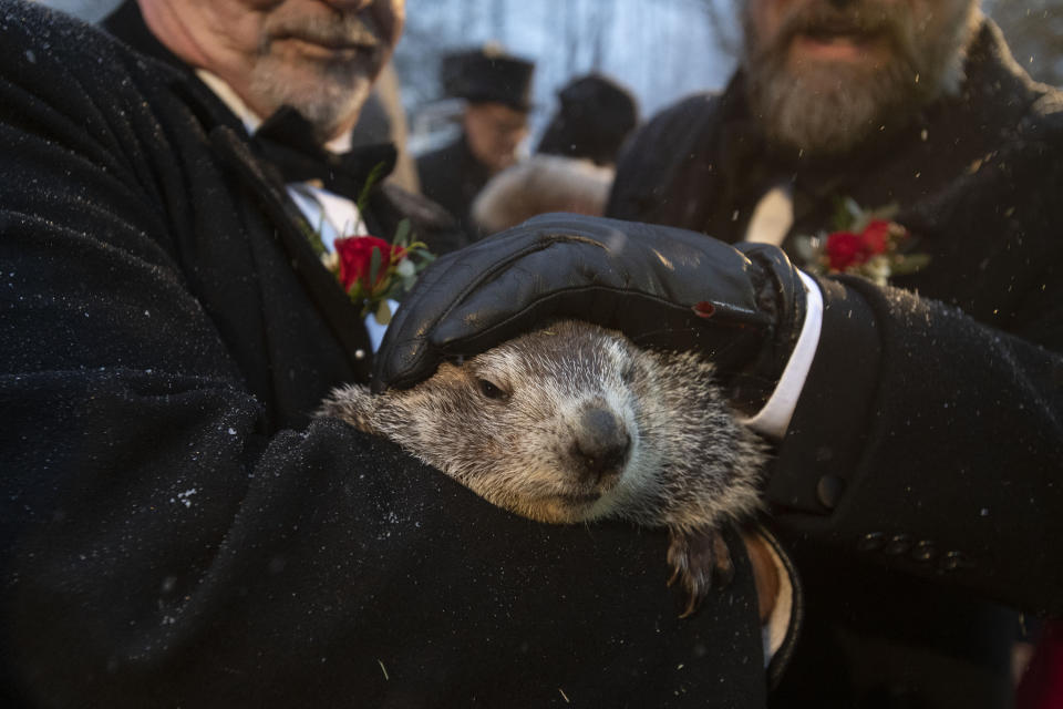 Groundhog Club co-handlers John Griffiths and Al Dereume hold Punxsutawney Phil, the weather prognosticating groundhog, during the 134th celebration of Groundhog Day on Gobbler's Knob in Punxsutawney, Pa. Sunday, Feb. 2, 2020. Phil's handlers said that the groundhog has forecast an early spring. (AP Photo/Barry Reeger)