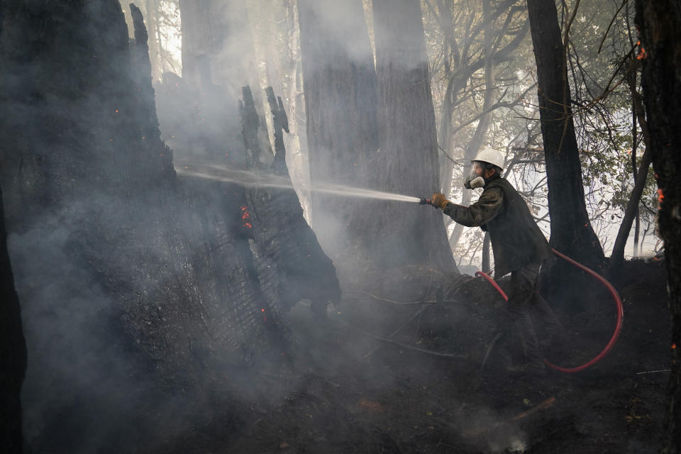 In this Aug. 21, 2020, file photo, Jesse Katz joins the firefighting effort as a civilian volunteer battling the CZU Lightning Complex Fire in Bonny Doon, Calif. With California fire crews strapped for resources as hundreds of lightning-sparked fires broke out in one night, crews of organized residents have worked to put out spot fires themselves in a massive complex of blazes along the central coast, banding together to sneak behind evacuation lines and keep properties safe. (AP Photo/Marcio Jose Sanchez, File)