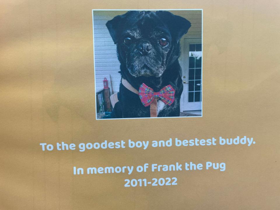 “Small Dog, Big Universe” features Frank the Pug, whose universe is small while God’s universe is big. Aug. 8, 2023.