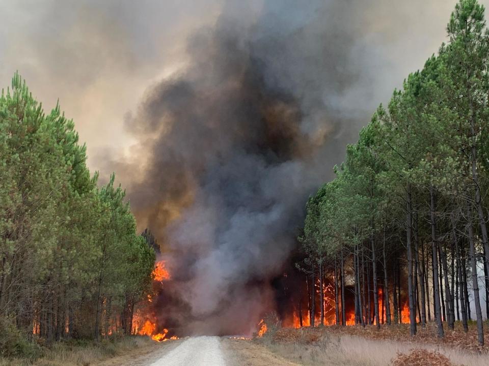 This photo provided by the fire brigade of the Gironde region SDIS 33, (Departmental fire and rescue service 33) shows flames consume trees at a forest fire in Saint Magne, south of Bordeaux, south western France, Wednesday, Aug. 10, 2022. ( SDIS 33 Service Audiovisuel via AP)