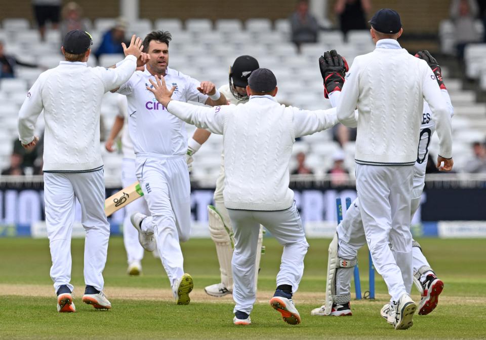 Jimmy Anderson, pictured here celebrating after taking the wicket of Tom Latham in the second Test.