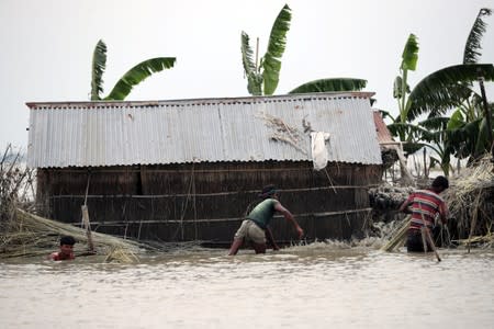 Flood-affected farmers process jute plant in Jamalpur, Bangladesh