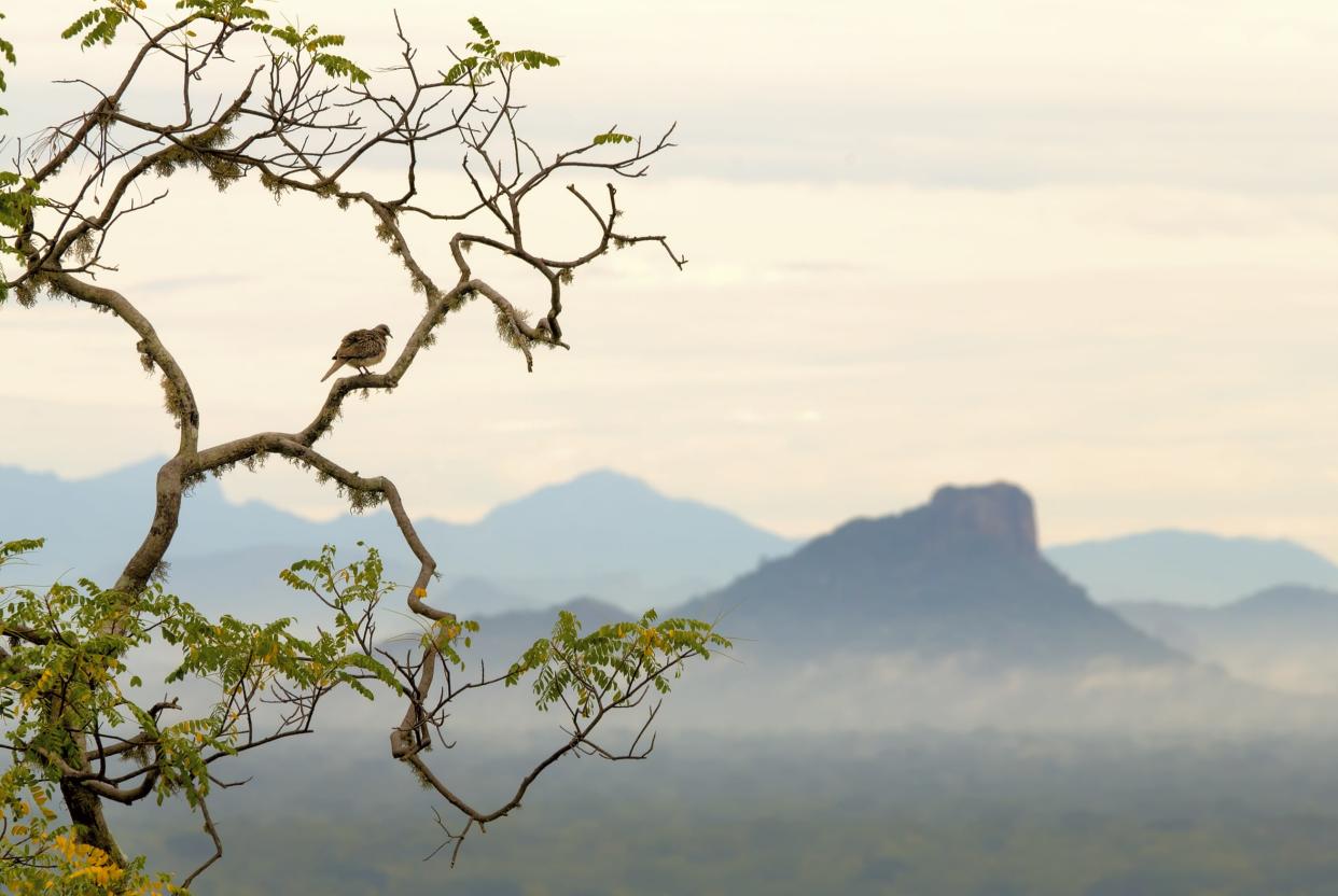 Work continues in Sri Lanka to heal the gaping wounds of war - ©Nedilko - stock.adobe.com