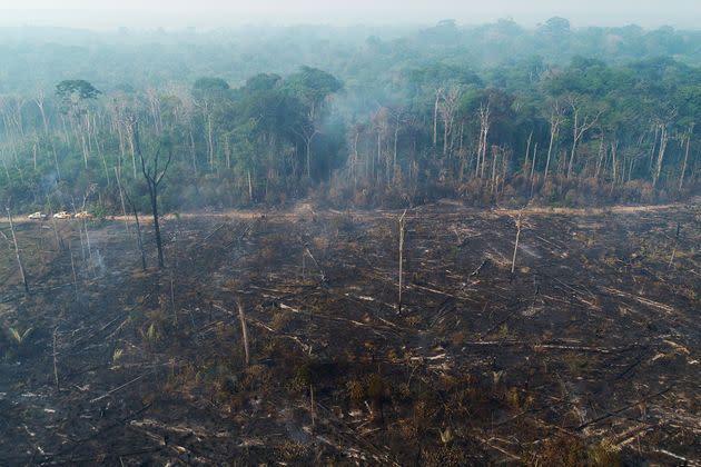 <p>Les incendies en Amazonie sont la conséquence directe de la déforestation, des agriculteurs pratiquant le brûlis sur des aires déboisées pour y faire paître du bétail. Les hommes du ministère brésilien de l'Environnement tentent d'arrêter ces feux. </p>