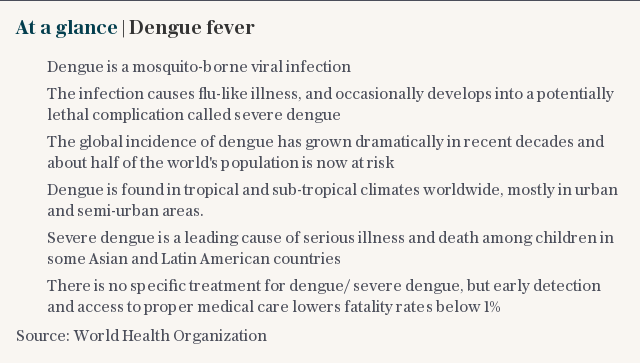 At a glance | Dengue fever