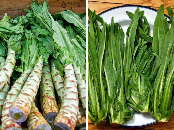 <p>Serious Eats / Ben Jay</p> AA Choy stalks and leaves.