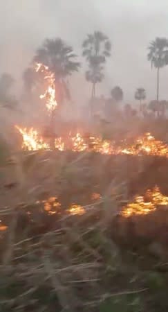 A view of burning vegetation during a wildfire in Otuquis National Park in Bolivia