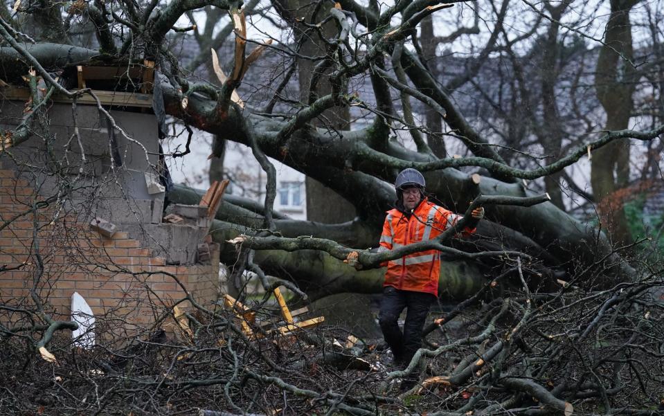 A worker removes a tree that fell on an electricity substation on the Kinnaird estate in Larbert during Storm Isha on Sunday