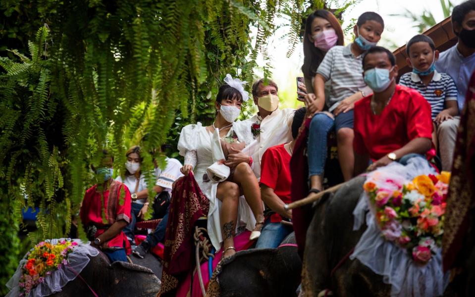 Thai couples take part in a mass wedding on elephants for Valentine's Day - Laruen DeCicca