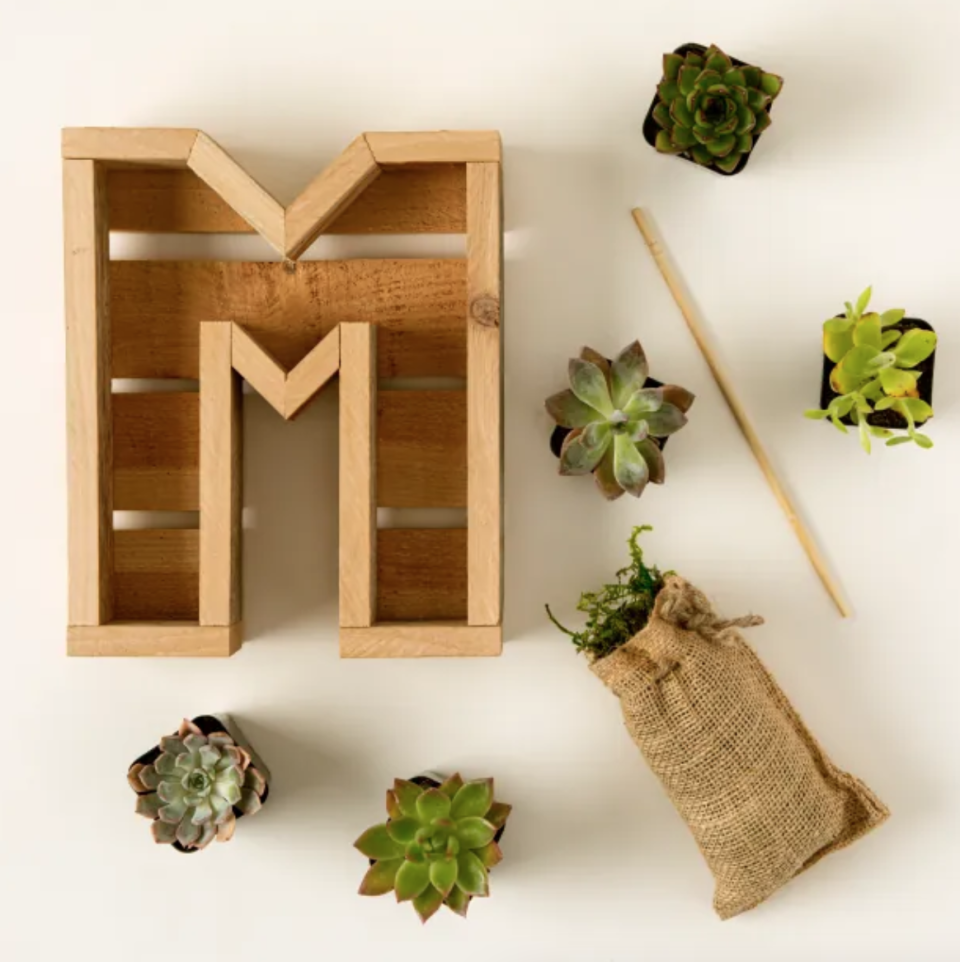 <p><a href="https://go.redirectingat.com?id=74968X1596630&url=https%3A%2F%2Fwww.uncommongoods.com%2Fproduct%2Fsucculent-letter-diy-kit&sref=https%3A%2F%2Fwww.goodhousekeeping.com%2Fholidays%2Fgift-ideas%2Fg1560%2Fgifts-for-mom%2F" rel="nofollow noopener" target="_blank" data-ylk="slk:Shop Now;elm:context_link;itc:0;sec:content-canvas" class="link ">Shop Now</a></p><p>Succulent Letter DIY Kit</p><p>uncommongoods.com</p><p>$97.00</p>