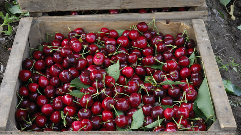 wooden crate of cherries