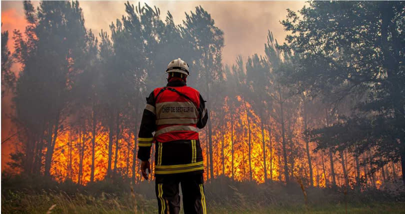 法國森林大火已經延燒超過1萬公頃。（圖／達志／美聯社）