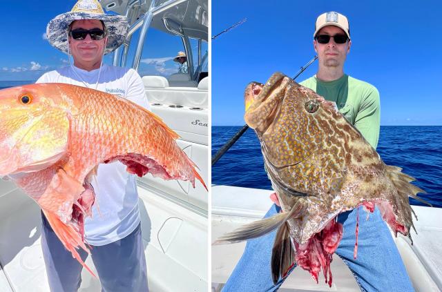 Shark Eats What Could Have Been the New World-Record Red Snapper