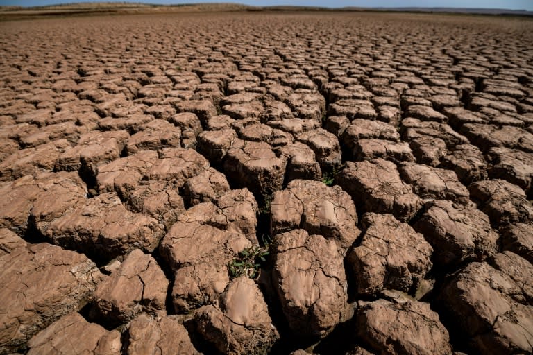 Tierra cuarteada por la sequía en el lecho seco del embalse de Al Masira, el 6 de marzo de 2024 en el pueblo marroquí de Uled Esi Maseud, unos 140 km al sur de Casablanca (Fadel Senna)