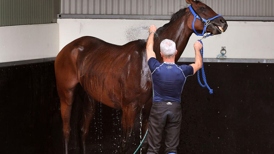 Magic Circle enjoys a shower before the Cup. (Image: WILLIAM WEST/AFP/Getty Images)