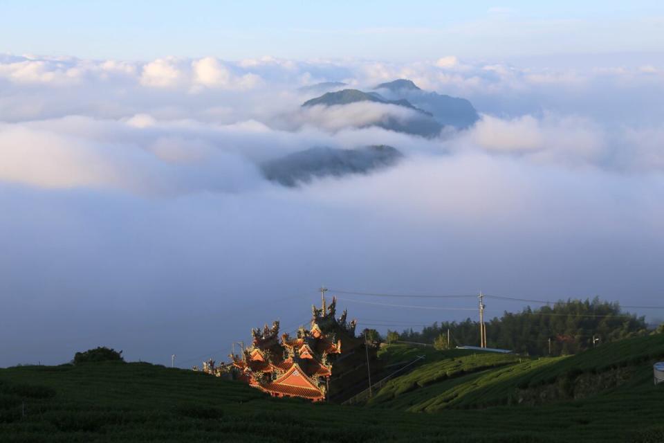 嘉義石棹地區是高山茶的重要產地，有豐富的高山景觀資源，氣象萬千的雲海。   圖：嘉義縣政府／提供