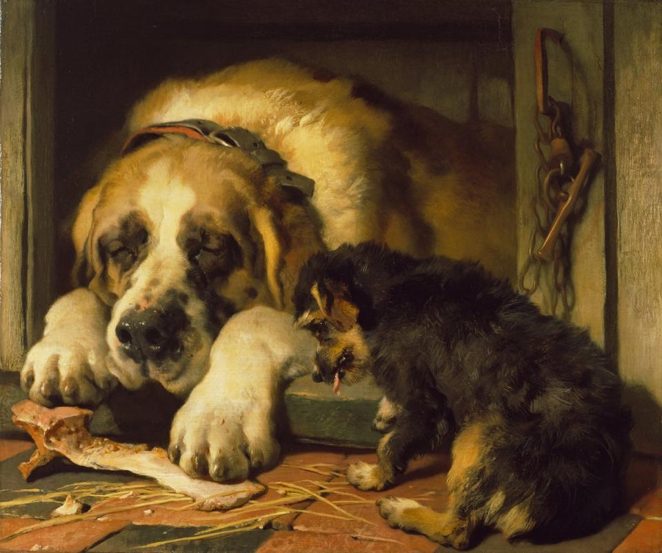 Doubtful Crumbs by Edwin Landseer, 1858-1859 (The Trustees of The Wallace Collection)