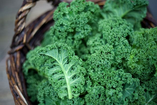 Kale in rustic basket on daylight  close Up