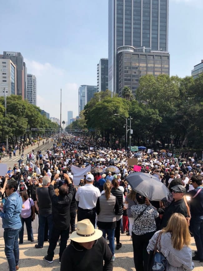 FOTOS | Así fue la 'Marcha Fifí' contra la consulta de López Obrador