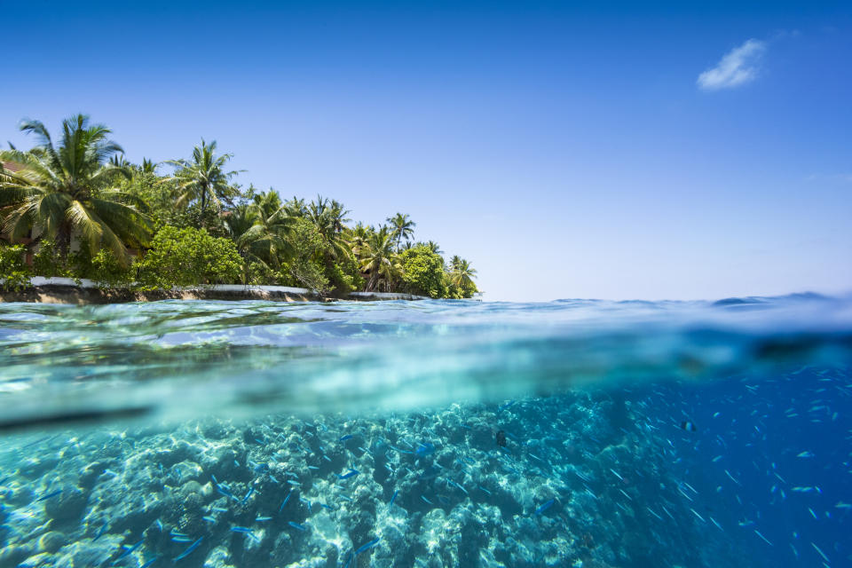 A file photo of the Maldives from the water.