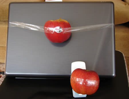 apples taped to laptop