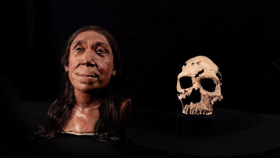 Investigadores desenterraron el cráneo utilizado en la reconstrucción en 2018. Los análisis posteriores revelaron que pertenecía a una mujer neandertal, que tendría unos 40 años cuando murió. (Crédito: Jamie Simonds/BBC Studios)