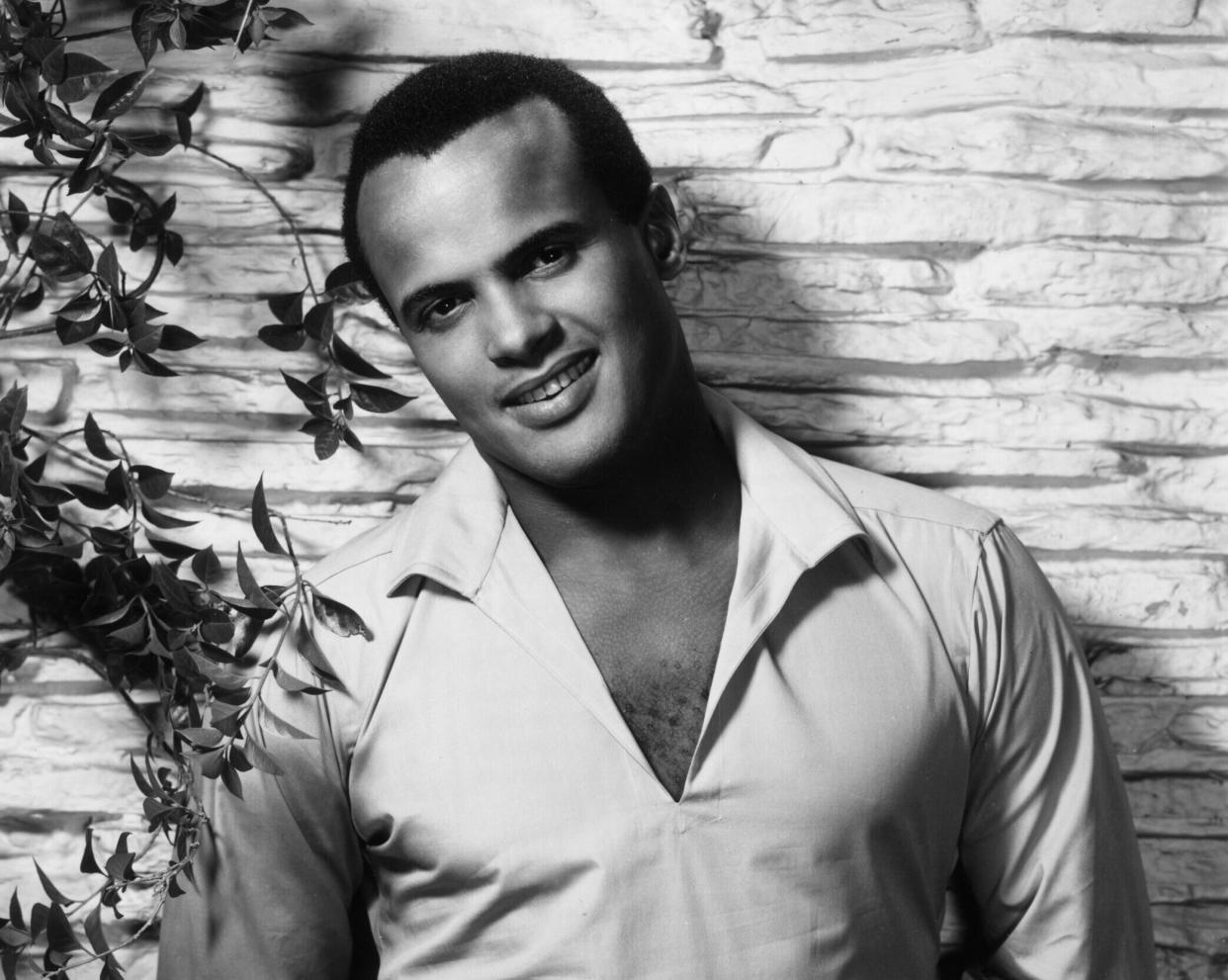 Harry Belafonte, Caribbean Music Legend and Civil Rights Pioneer, Dies at 96