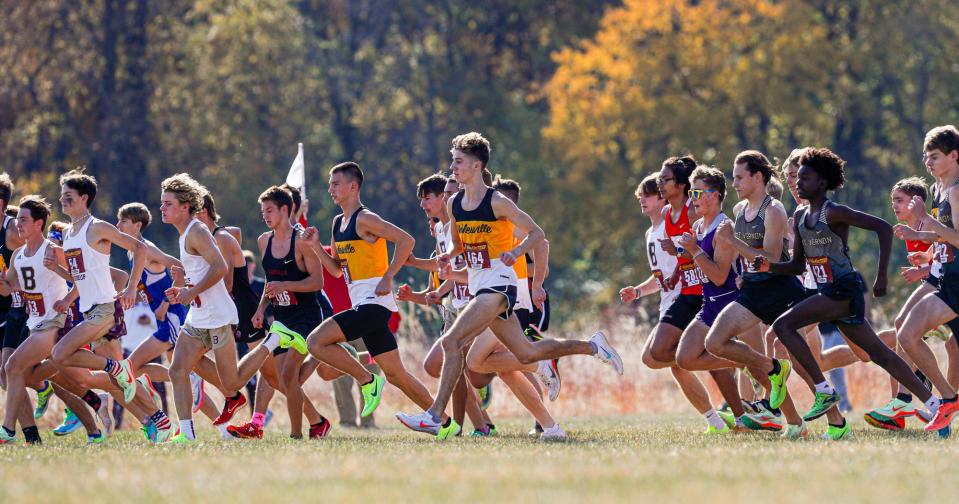 The Noblesville buys cross country runners take off at the start of the IHSAA girls and boys cross-country semi-state on Saturday, Oct. 22, 2022, at  Blue River Park Cross Country Course in Shelbyville Ind.