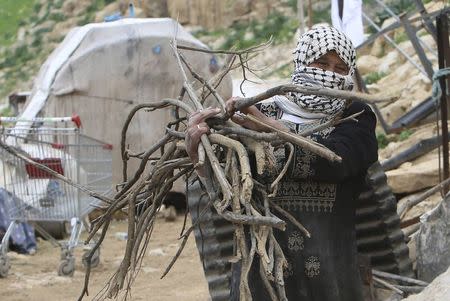 A Palestinian woman carries tree branches, to be used for heating and cooking, in the West Bank Beduin village of Almaleh, in the northern Jordan Valley January 6, 2015. REUTERS/Abed Omar Qusini