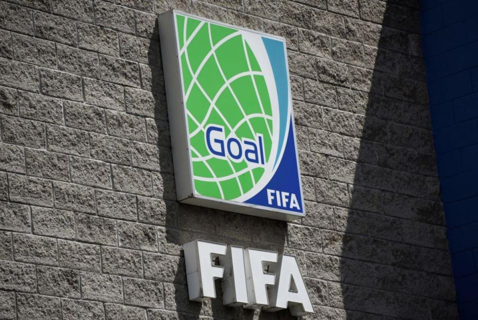 Fifa insists that feedback is overwhelmingly positive, even from agents and agent organisations (AFP/Getty)