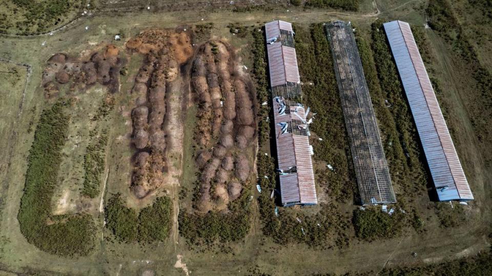 Cape Fear Riverkeeper Kemp Brudette spotted long-standing piles of chicken litter near three rundown chicken houses in Sampson County. Litter is allowed to stand uncovered for up to 15 days.