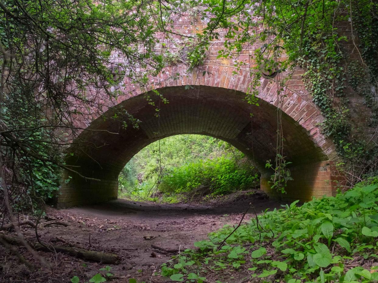 A river doesn't run through it: the River Quin in Hertfordshire is not living up to its name: Charles Rangeley