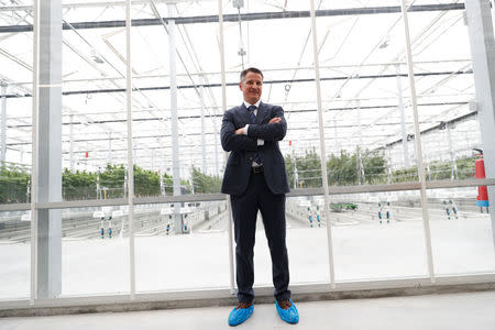 Tilray Chief Executive Brendan Kennedy poses outside a hothouse at the Tilray cannabis factory in Cantanhede, Portugal April 24, 2019. REUTERS/Rafael Marchante