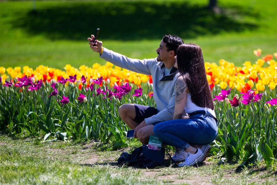 Visitors take selfies in fields of tulips on Monday, May 9, at Windmill Island Gardens in Holland.