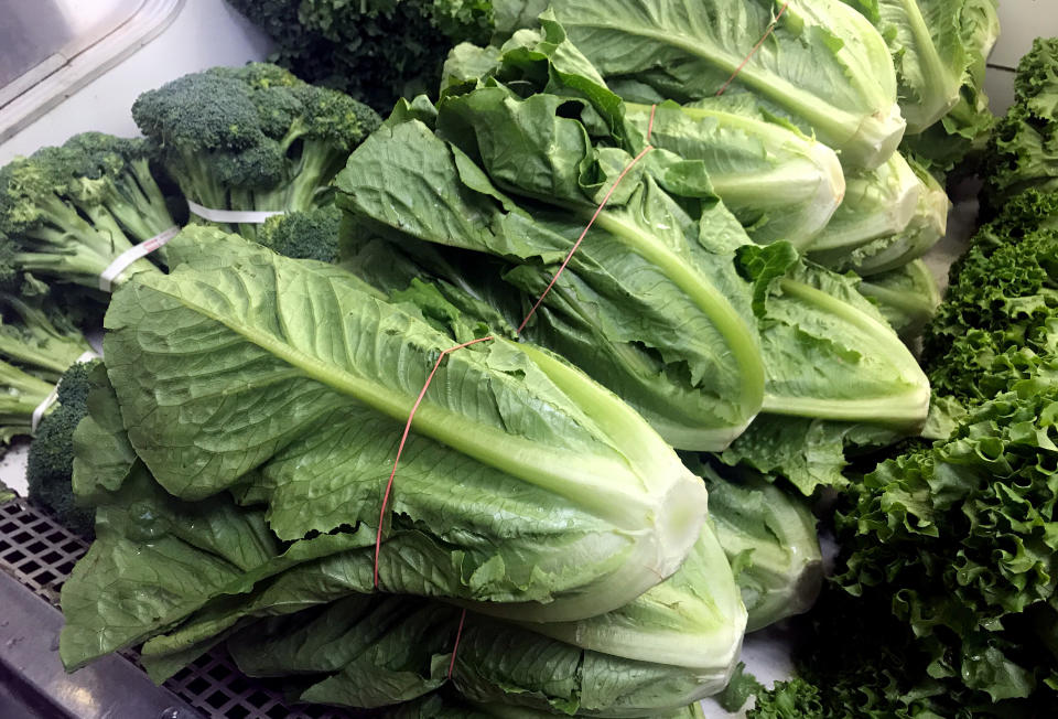 At least 67 people are believed to have fallen ill from eating romaine lettuce contaminated with E. coli bacteria that originated from Salinas, California. (Photo: Chris Helgren / Reuters)