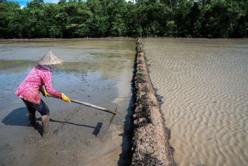 Starving the Mekong: Lives are remade as dams built by China upstream deprive Mekong River Delta of precious sediment