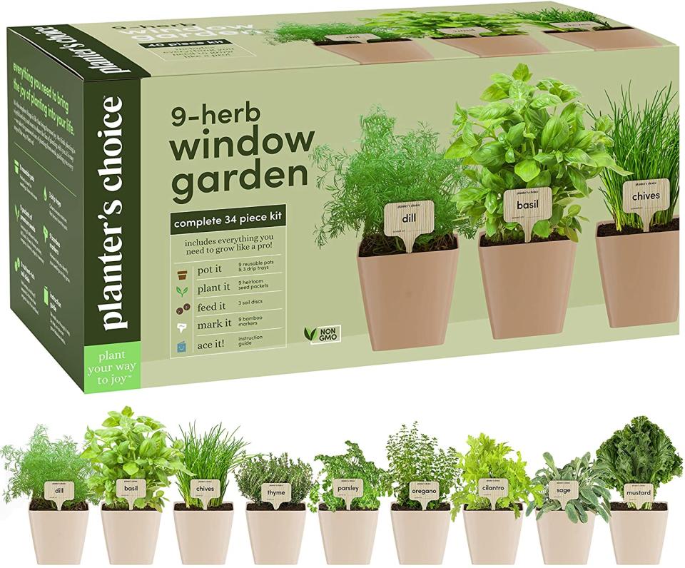 Planters’ Choice 9 Herb Window Garden (Photo via Amazon)