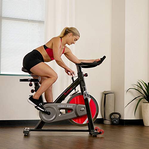 Sunny Health & Fitness Spin Bike (Amazon / Amazon)