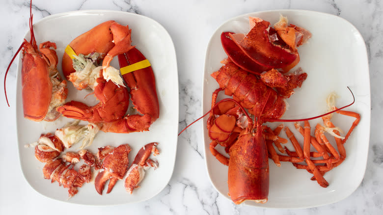 lobster prep