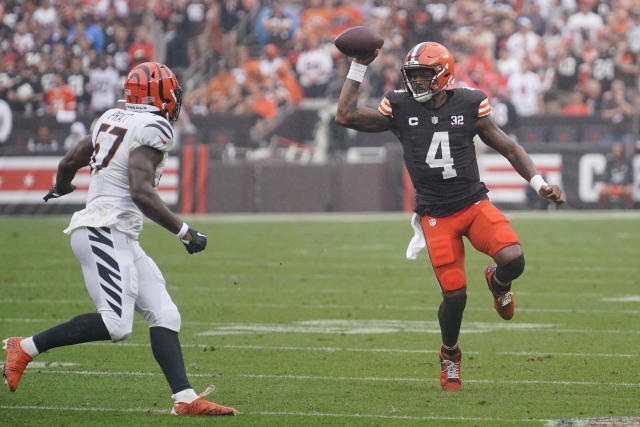 Cincinnati Bengals vs. Cleveland Browns. Fans support on NFL Game