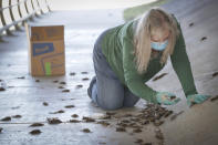 Diana Foss, Texas Parks and Wildlife Urban Wildlife Biologist attempts to find any surviving Mexican Free-tailed bats in a pile of dead bats at Waugh Drive in Buffalo Bayou Park, where it was impacted by the winter storm Monday, Feb. 22, 2021, in Houston. Foss, said that the winter bat colony is about 100,000. She said they were able to find about 20 bats that have fallen from the bridge that were still alive and they are attempting to save. (Steve Gonzales/Houston Chronicle via AP)