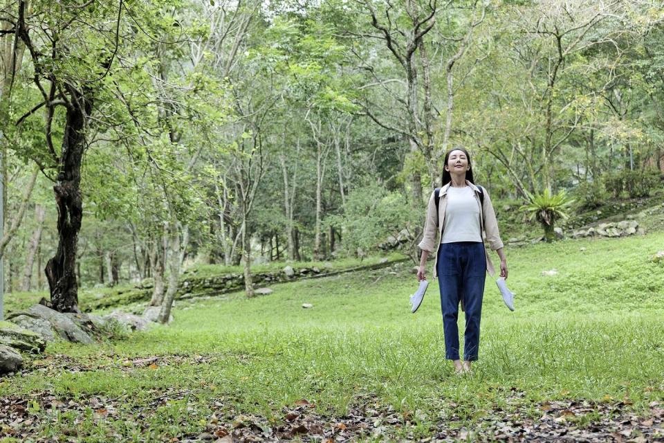 可到八仙山放鬆身心靈，感受森林的療癒力。   圖：東勢林區管理所／提供