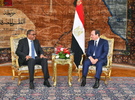 Egyptian President Abdel Fattah al-Sisi (R) and Ethiopian Prime Minister Hailemariam Desalegn talk during their meeting in the Egyptian Presidential Palace in Cairo, Egypt, January 18, 2018 in this handout picture courtesy of the Egyptian Presidency. The Egyptian Presidency/Handout via REUTERS