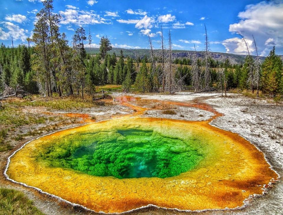 Morning Glory Pool at Yellowstone.