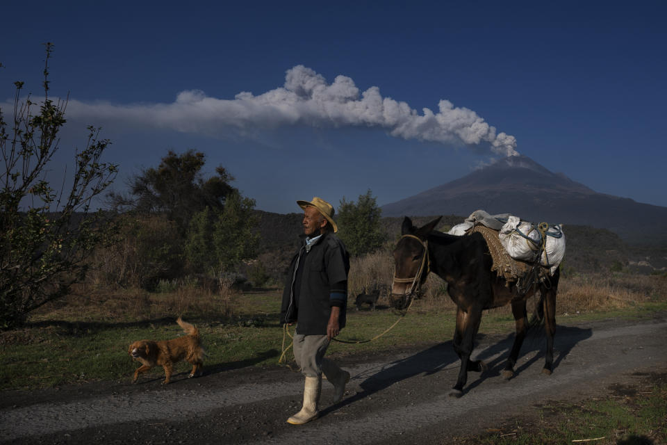 José Marcos de Olarte pasea su mula para sembrar maíz en su tierra cerca del volcán Popocatépetl que arroja ceniza y vapor en Santiago Xalitzintla, México, la madrugada del jueves 25 de mayo de 2023. (AP Foto/Marco Ugarte)