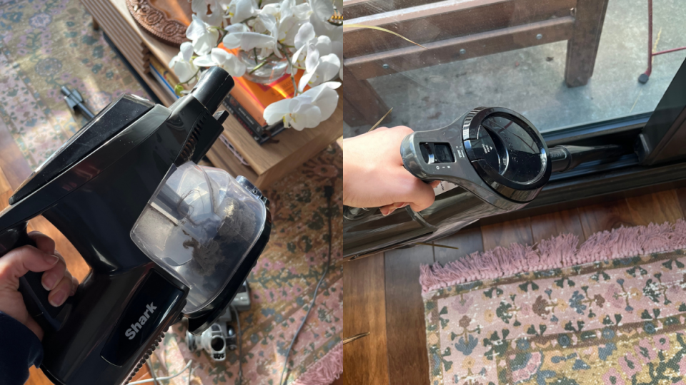 What my vacuum picked up — gross but satisfying (Photos via Kayla Kuefler).