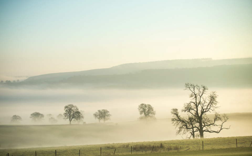 Derbyshire