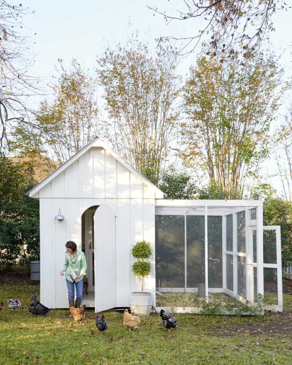 Pretty and Simple Chicken Coop